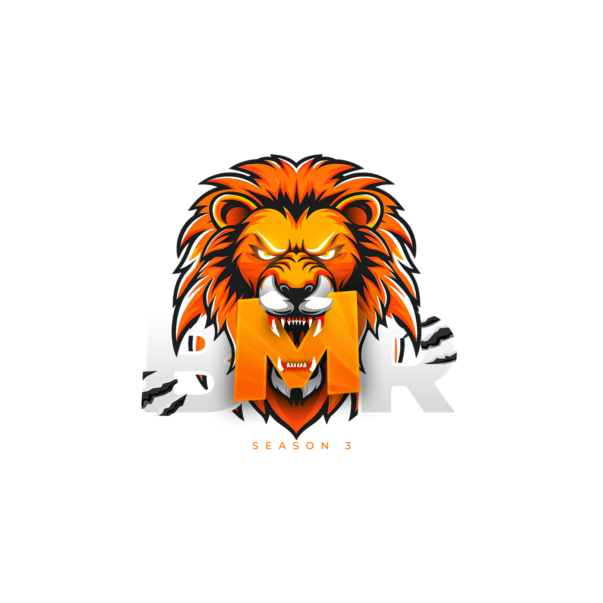 BMR Logo